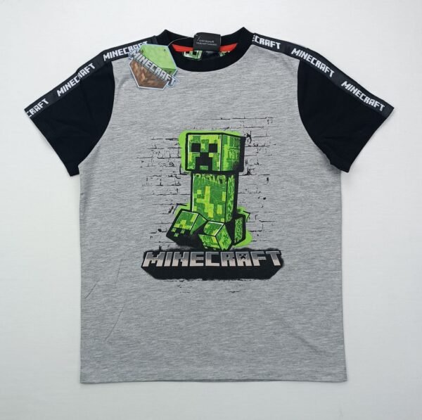 Minecraft Erkek Çocuk Tişört