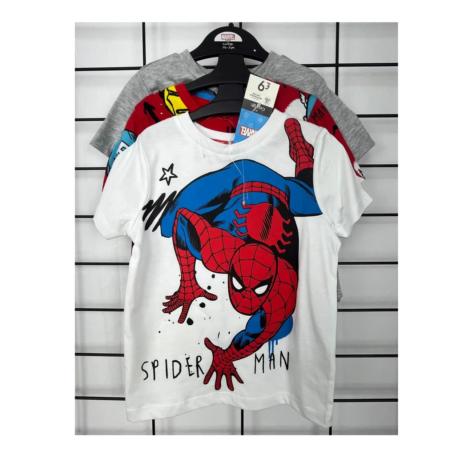 IMG-20250911-WA0020ccv